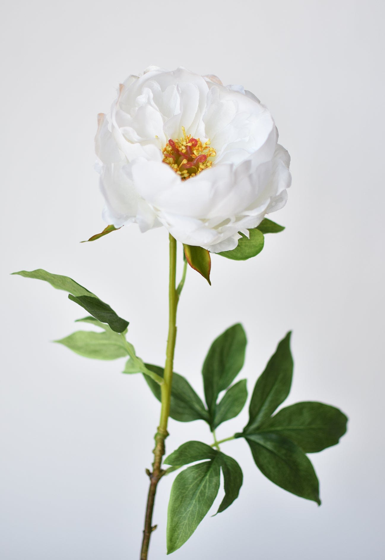 22" Faux White Peony Stem